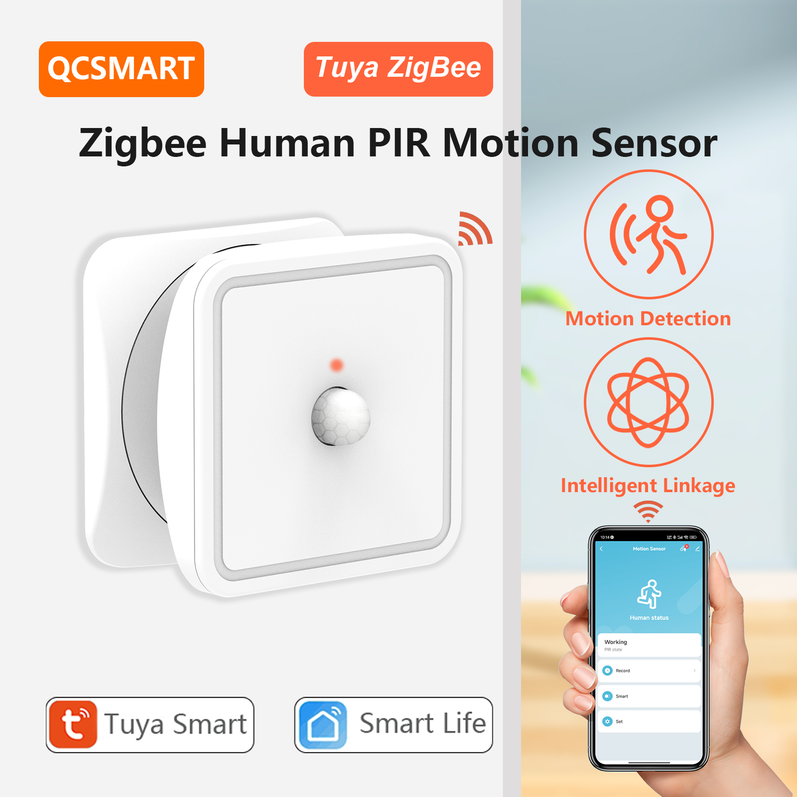 Tuya ZigBee Human Motion Senso - đánh giá và giá Home Improvement Hardware