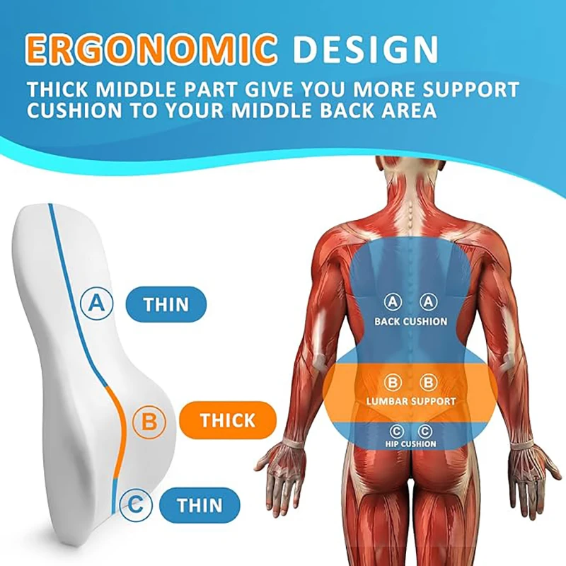 Lumbar Support Pillow for Offi - đánh giá và giá Home Improvement Cars
